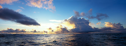 Michael Berman Photography